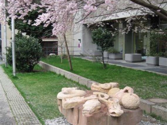 10.3.08040.jpg