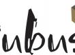 kubus-logo_s-Kopie.jpg