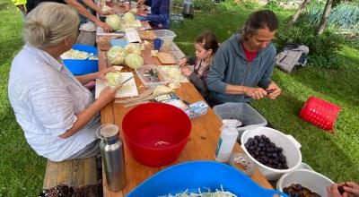 Sauerkraut-Herstellung